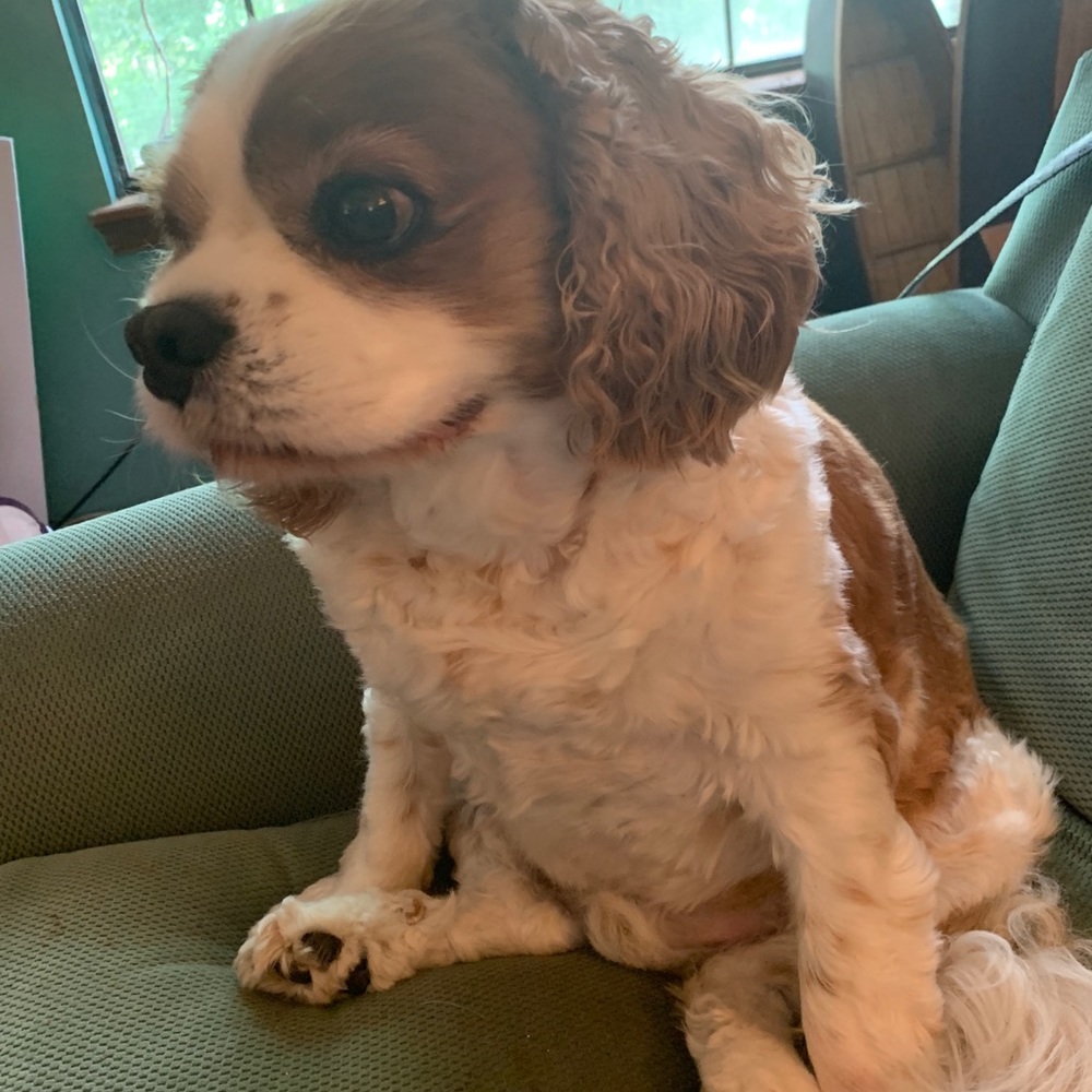 Meet your Posher, BETSY BAKER!